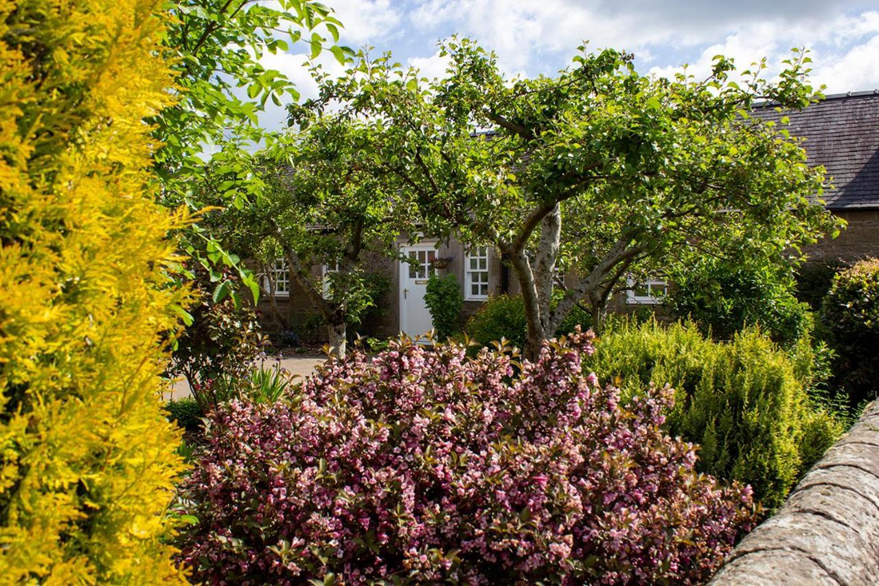 Balgavies Farm - Holiday home Forfar